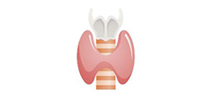 Thyroid