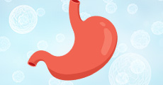 Stomach function